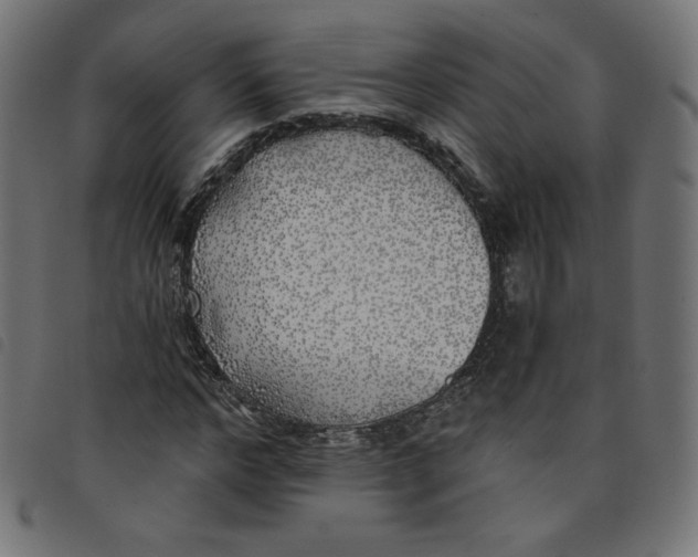 X0000098110968200804251424