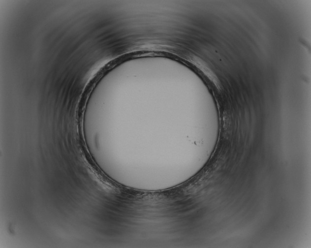 X0000098110972200804251424