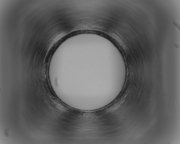 X0000098110974200804251424