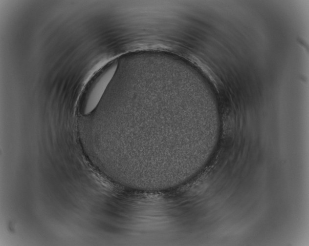 X0000098110975200804251424