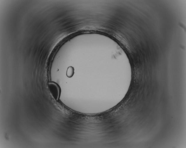 X0000098110976200804251424