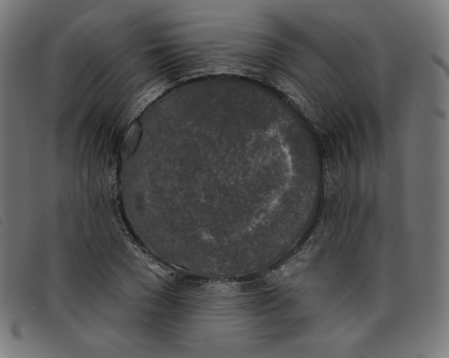 X0000098110977200804251424