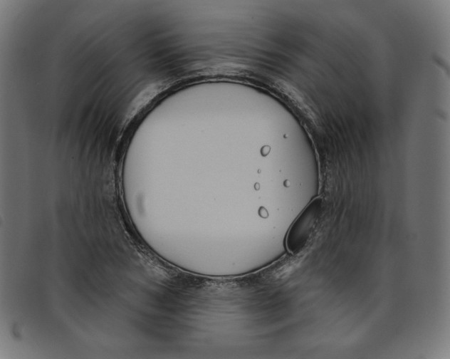 X0000098110978200804251424