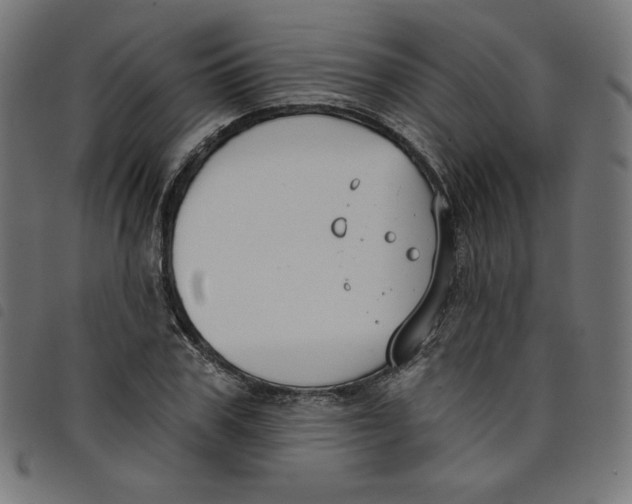 X0000098110979200804251424