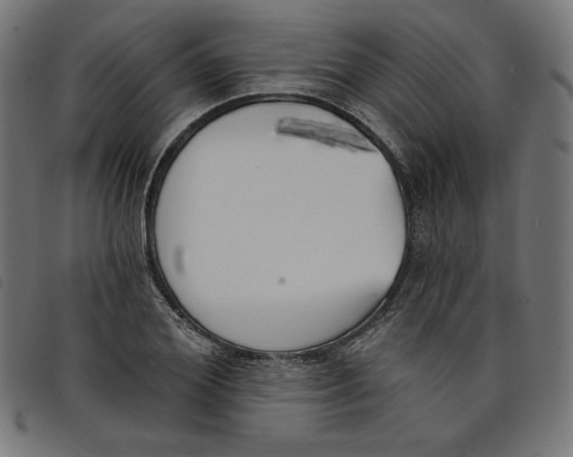 X0000098110980200804251424