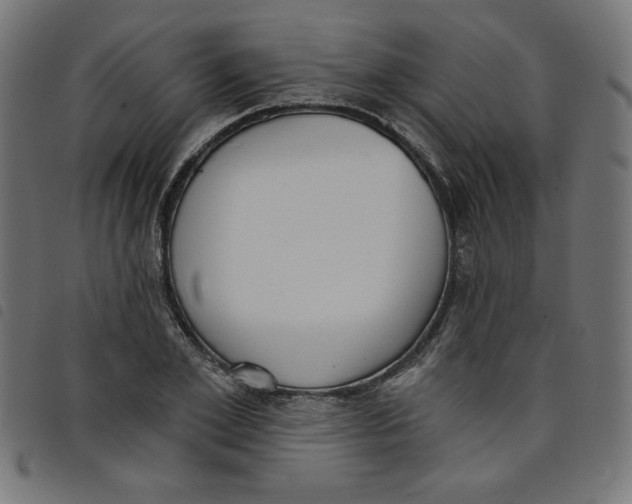 X0000098110981200804251424