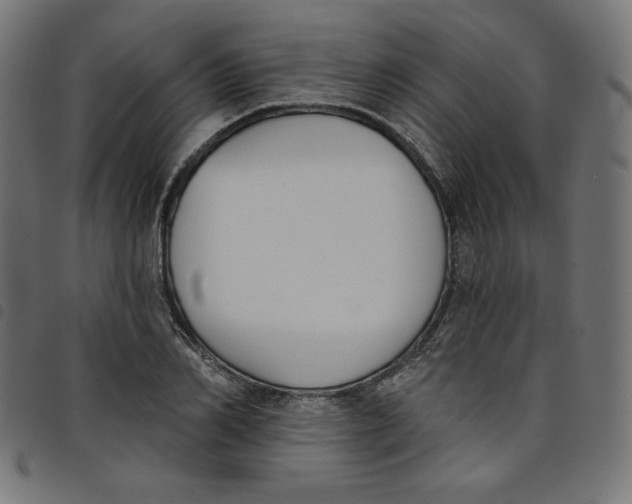 X0000098110982200804251424