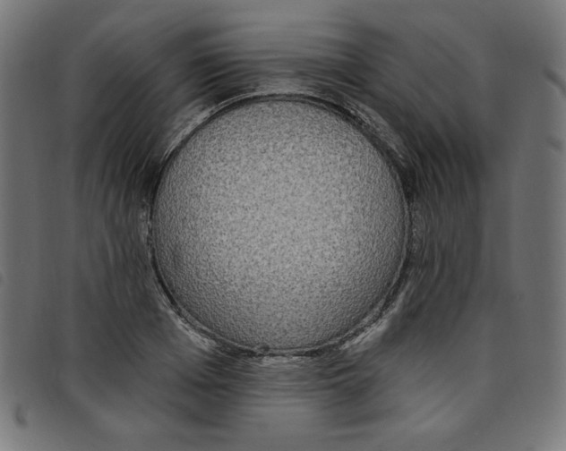 X0000098110985200804251424