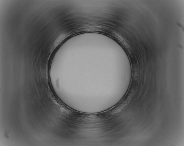 X0000098110986200804251424