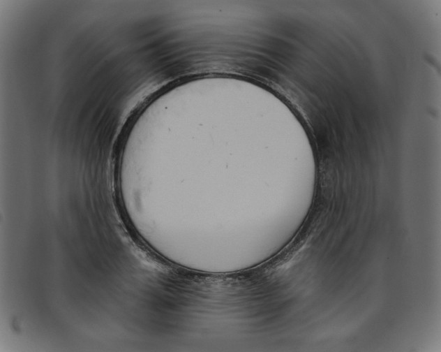 X0000098110987200804251424