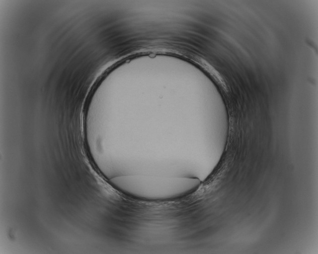 X0000098110988200804251424