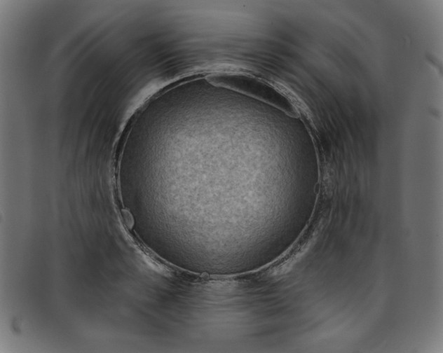 X0000098110989200804251424