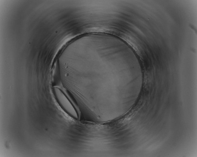 X0000098110992200804251424