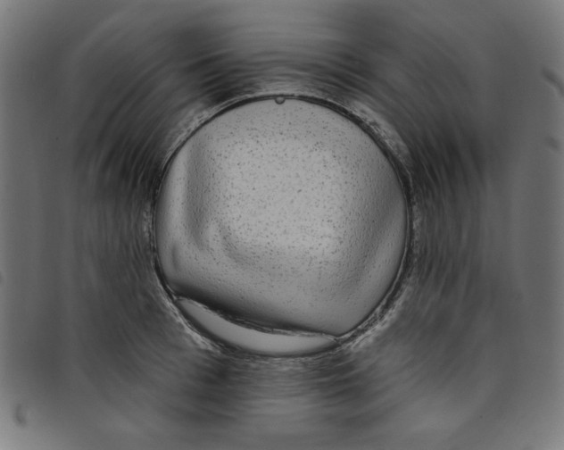 X0000098110993200804251424