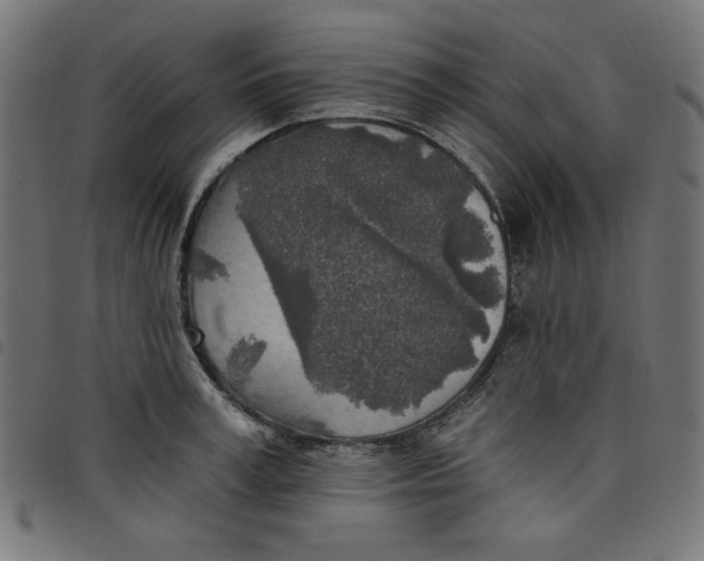 X0000098110995200804251424