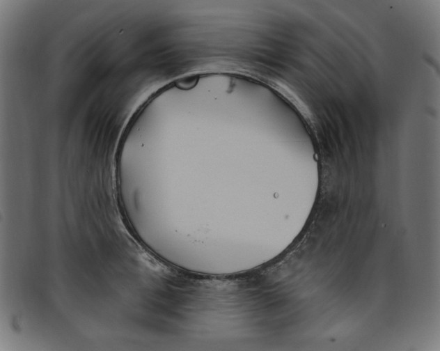 X0000098110996200804251423