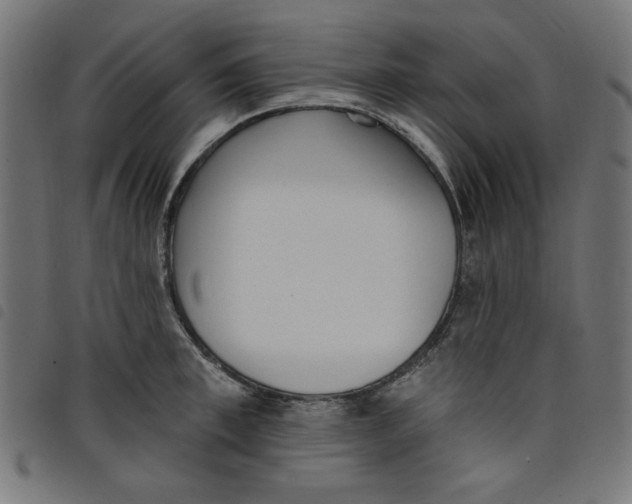 X0000098110997200804251423