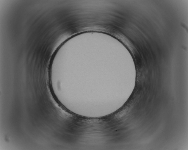 X0000098110999200804251423