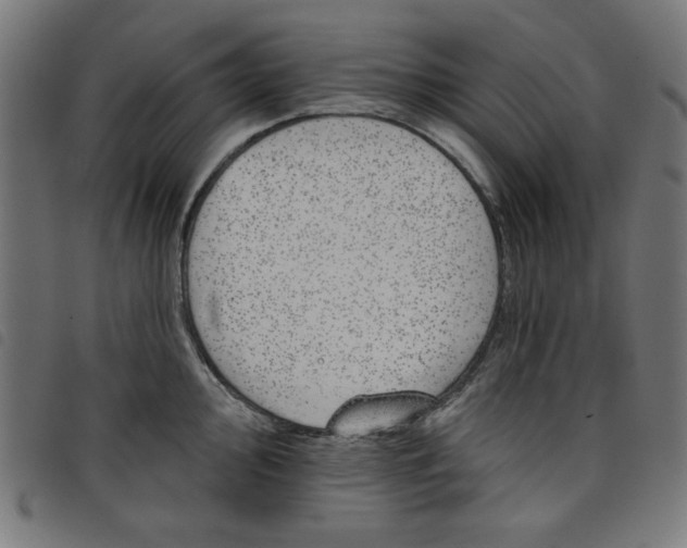 X0000098111000200804251423