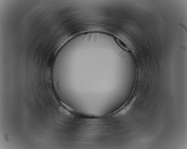 X0000098111001200804251423