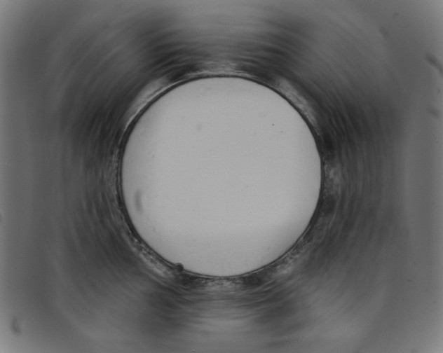 X0000098111002200804251423