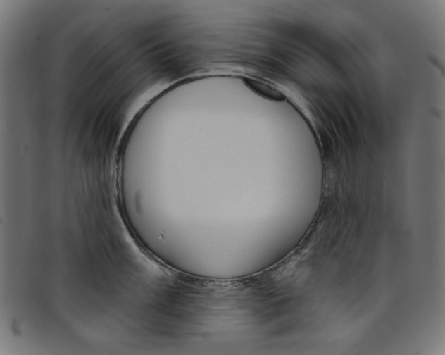 X0000098111003200804251423