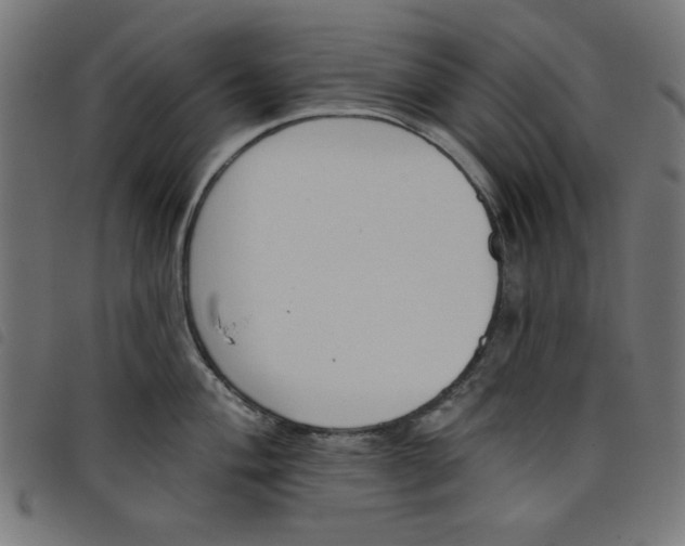 X0000098111004200804251423