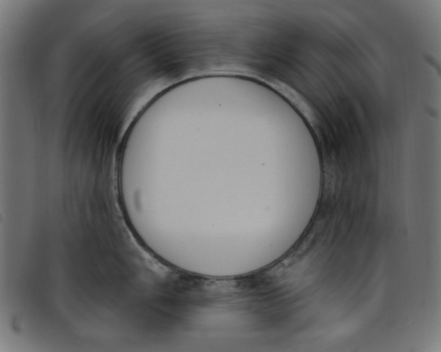 X0000098111006200804251423