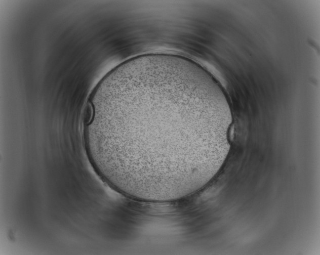 X0000098111007200804251423