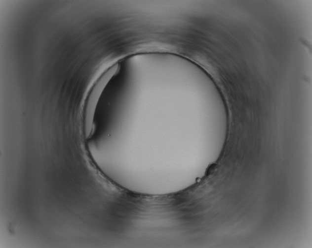 X0000098111008200804251423