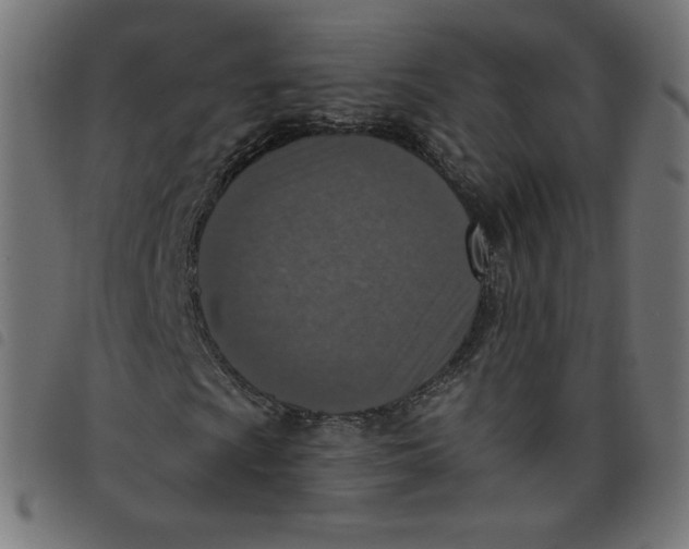 X0000098111009200804251423