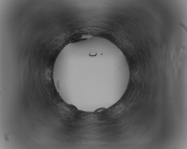 X0000098111010200804251423