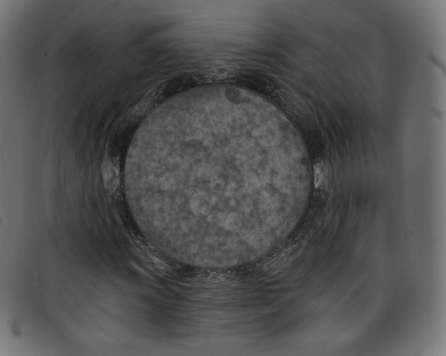 X0000098111011200804251423