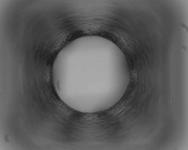 X0000098111012200804251423