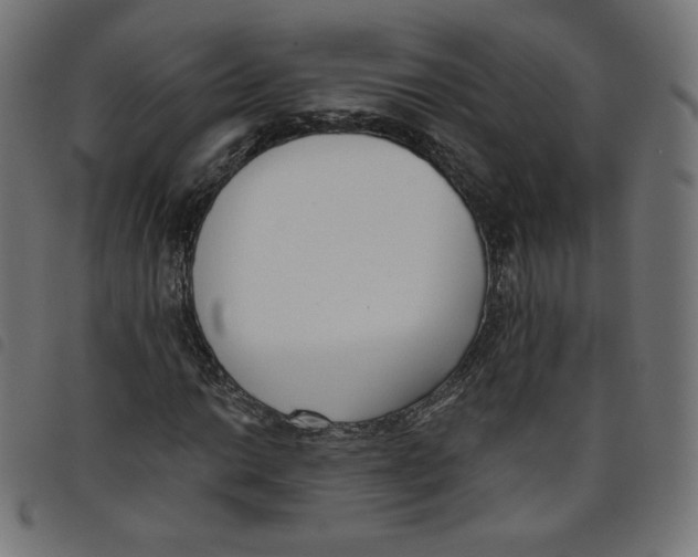 X0000098111014200804251423