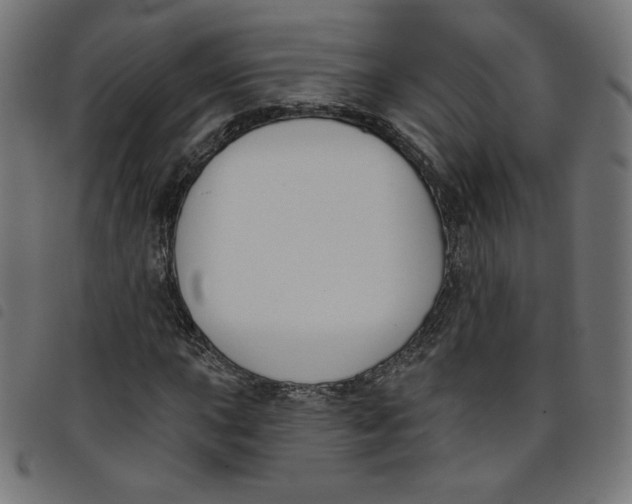 X0000098111015200804251423