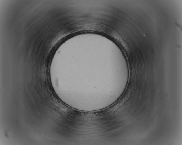 X0000098111019200804251423