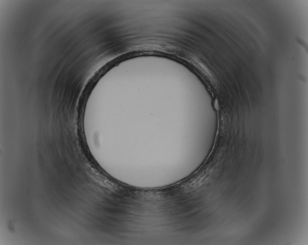 X0000098111020200804251423