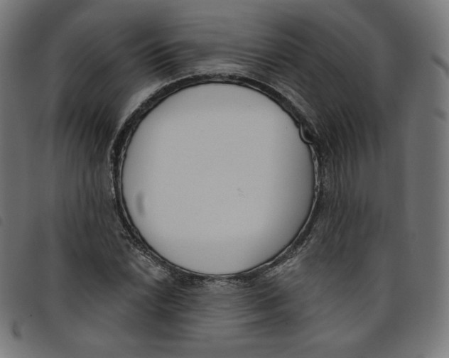 X0000098111022200804251423