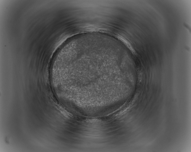 X0000098111023200804251423