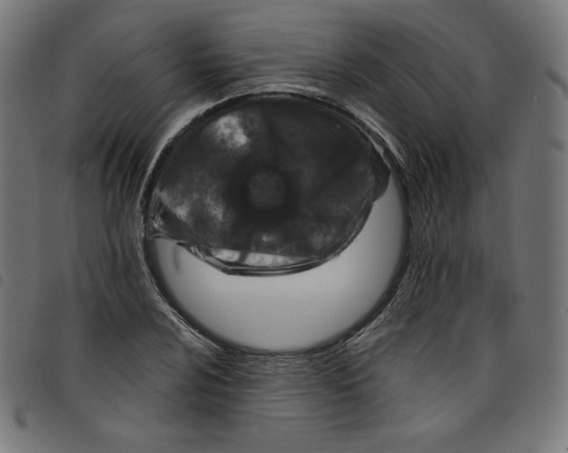 X0000098111024200804251423