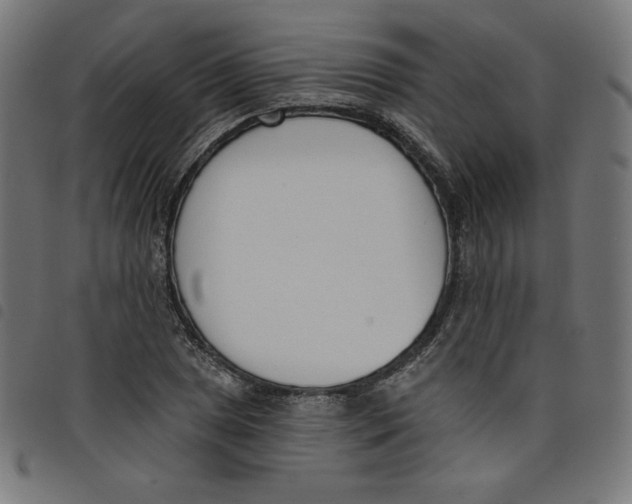 X0000098111025200804251423