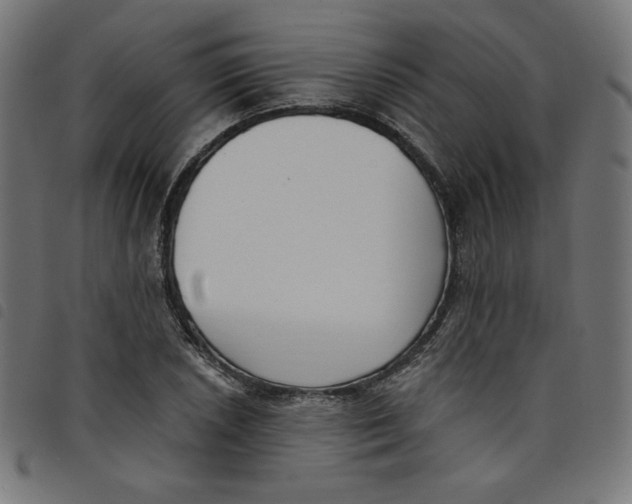 X0000098111026200804251423