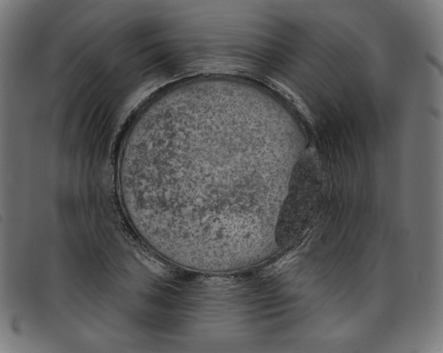 X0000098111027200804251423