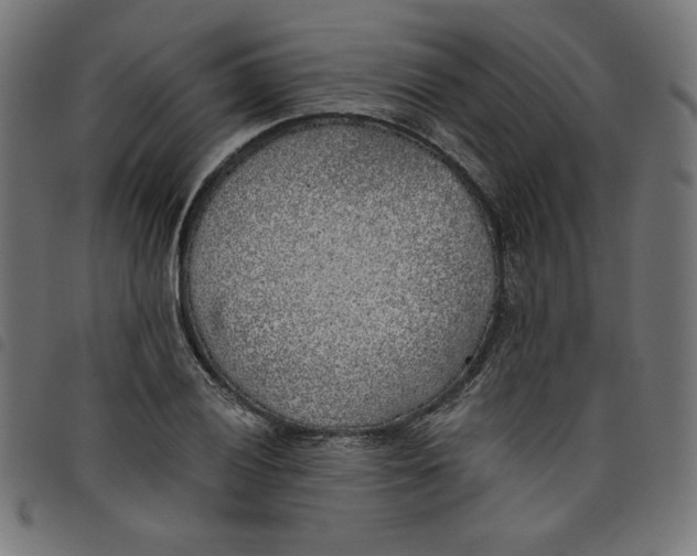 X0000098111028200804251423