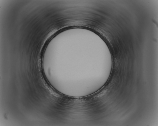 X0000098111029200804251423