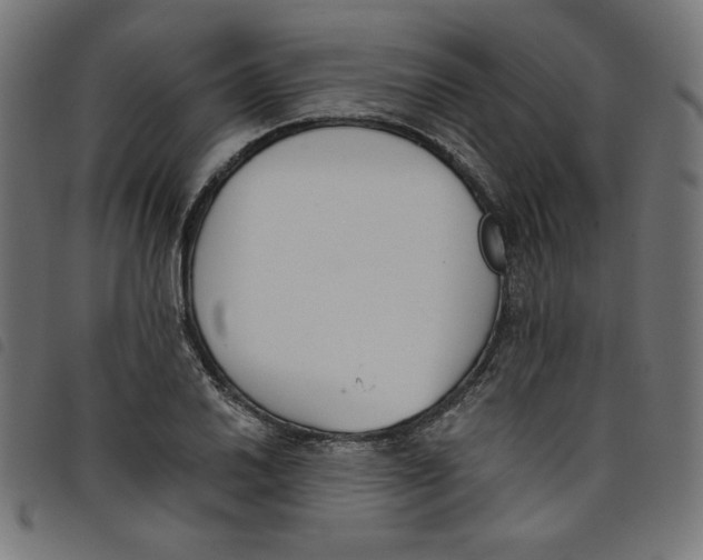 X0000098111030200804251423