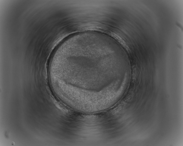 X0000098111031200804251423