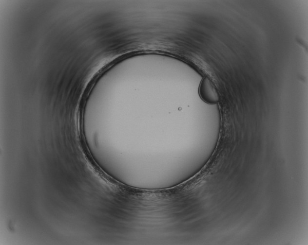 X0000098111032200804251423