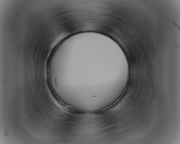 X0000098111034200804251423